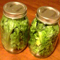 https://scarletlillies.wordpress.com/wp-content/uploads/2011/08/lettuce.jpg